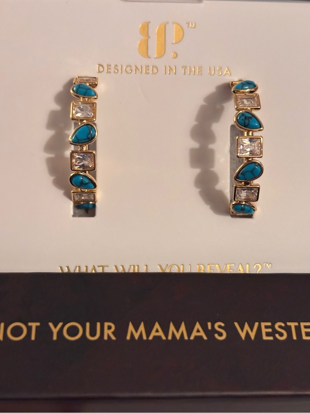 Outlaw Earrings